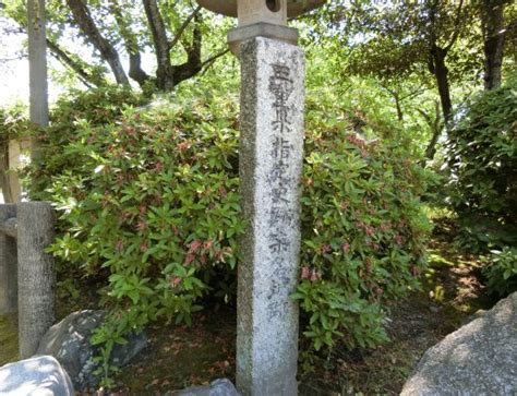 Kyuka: Before Summer's End 2025